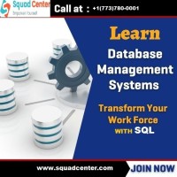 Become a SQL Developer With DBMS and SQL Training